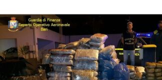 Sequestrato mezzo quintale di marijuana a Brindisi
