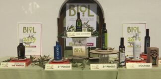Premio Biol 2017: tutti i vincitori