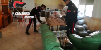 Rinvenuta oltre una tonnellata di droga: in arresto un 22enne albanese