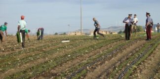Caporalato nel brindisino: 4 arresti