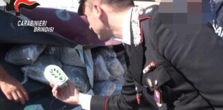 250 chili di marijuana nascosti nei tubolari di un gommone: sei arresti