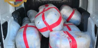 Trasportava in un furgone 150 chili di marijuana: arrestato 38enne fasanese