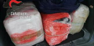 Inseguimento nelle campagne: sequestati 130 kg di marijuana dai Carabinieri