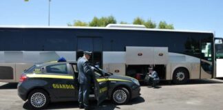Traffico d’olio d’oliva proveniente dall’Albania: sequestrate 9 tonnellate di merce
