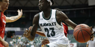 Basket, colpo Dinamo: ecco la guardia Sheriff Drammeh