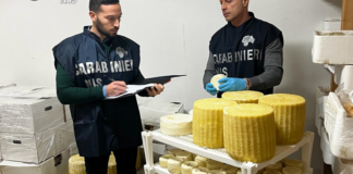 Controlli dei NAS tra le province di Brindisi e Taranto, tre attività chiuse