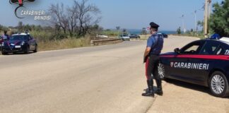 Si era costruito una serra in casa per coltivare marijuana, in arresto un 23enne di Brindisi