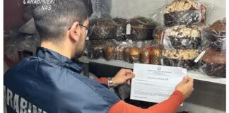 Oltre 100 panettoni contraffatti sequestrati in una rinomata pasticceria del Brindisino