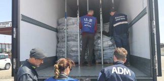 Intercettate e bloccate al porto di Brindisi 20 tonnellate di cozze nere