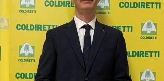 Michele Nuzzi nuovo direttore di Coldiretti Taranto e Brindisi: raccoglie il testimone da Dell’Acqua