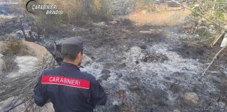 85enne appicca un incendio: distrutti oltre 2mila metri quadrati di macchia mediterranea