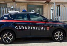 Controllo del territorio nel Brindisino: 2 arresti, 5 denunce e scoperta una piantagione di marijuana