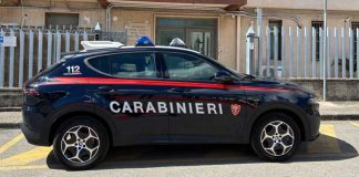 Controllo del territorio nel Brindisino: 2 arresti, 5 denunce e scoperta una piantagione di marijuana